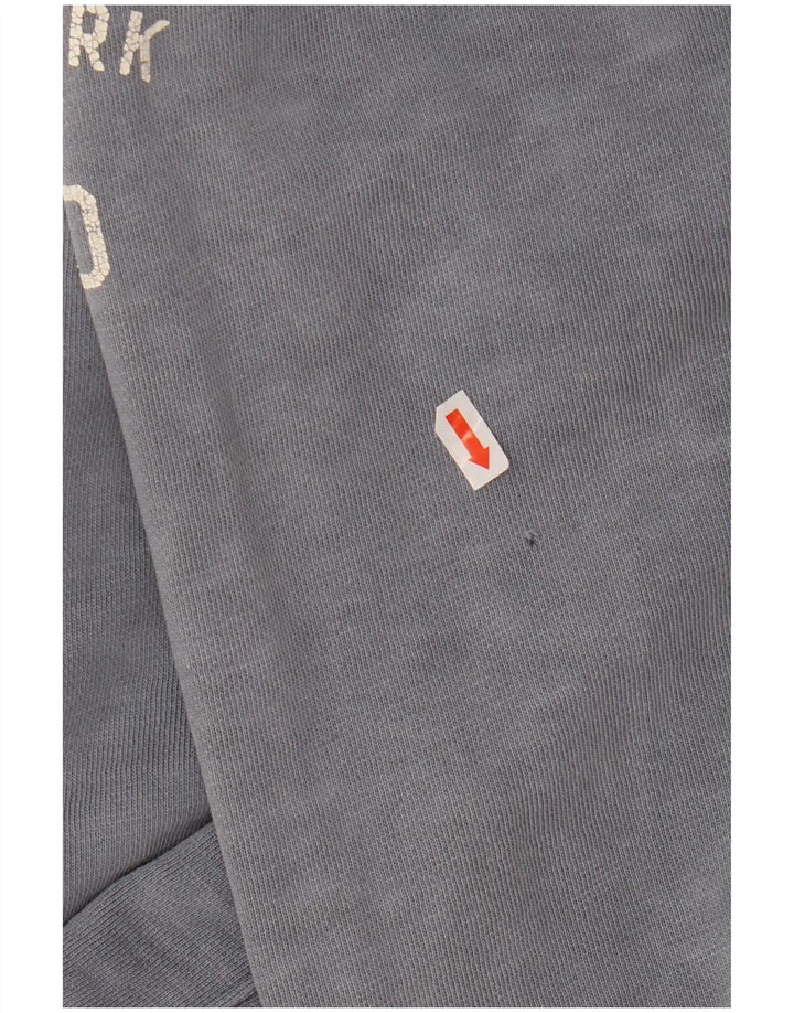 TOMMY HILFIGER Mens Graphic Hoodie Jumper XL Blue Cotton