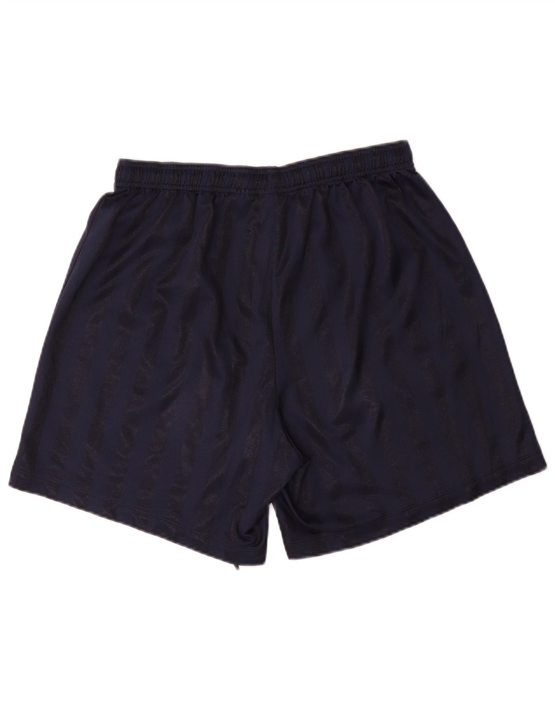 Nike Mens Sport Shorts Large Navy Blue Striped
