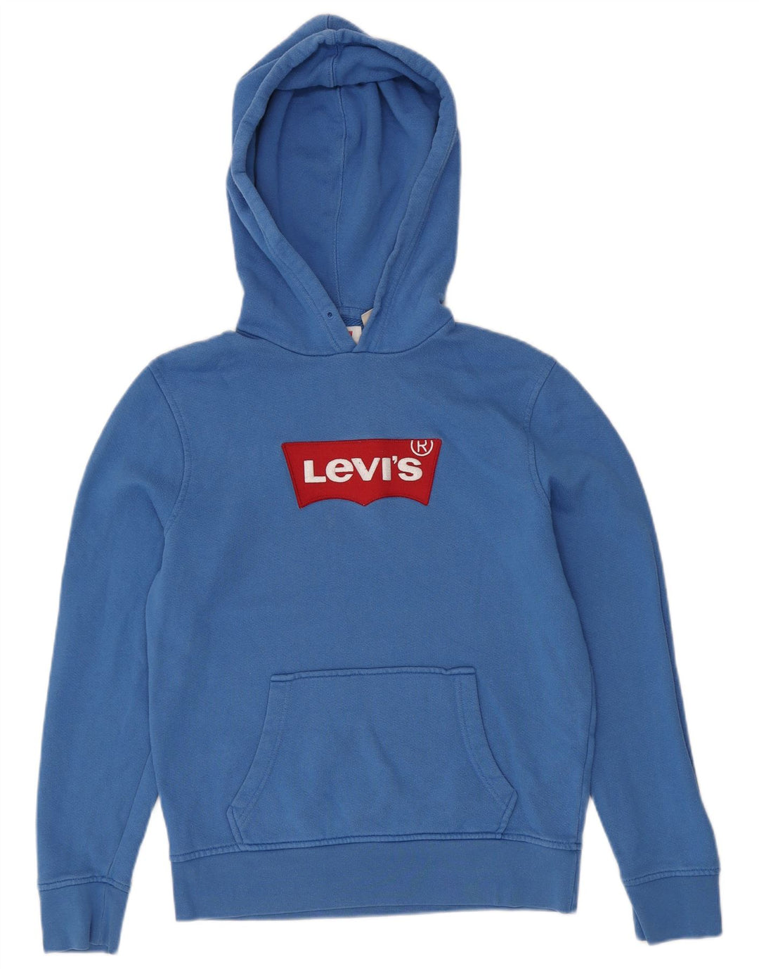 LEVI'S Mens Graphic Hoodie Jumper Small Blue Cotton