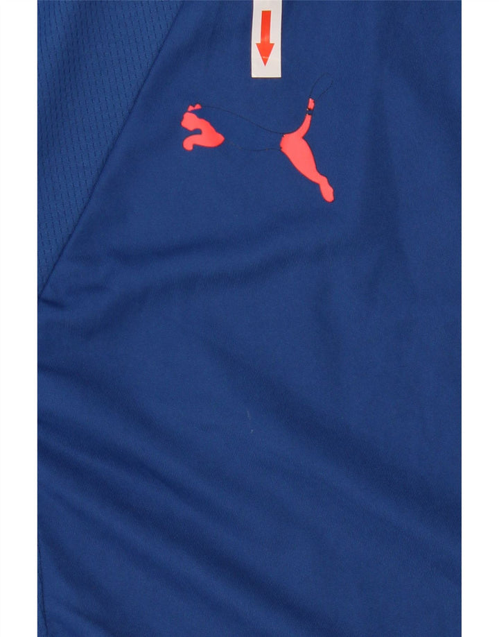 PUMA Mens T-Shirt Top Large Blue Colourblock Polyester