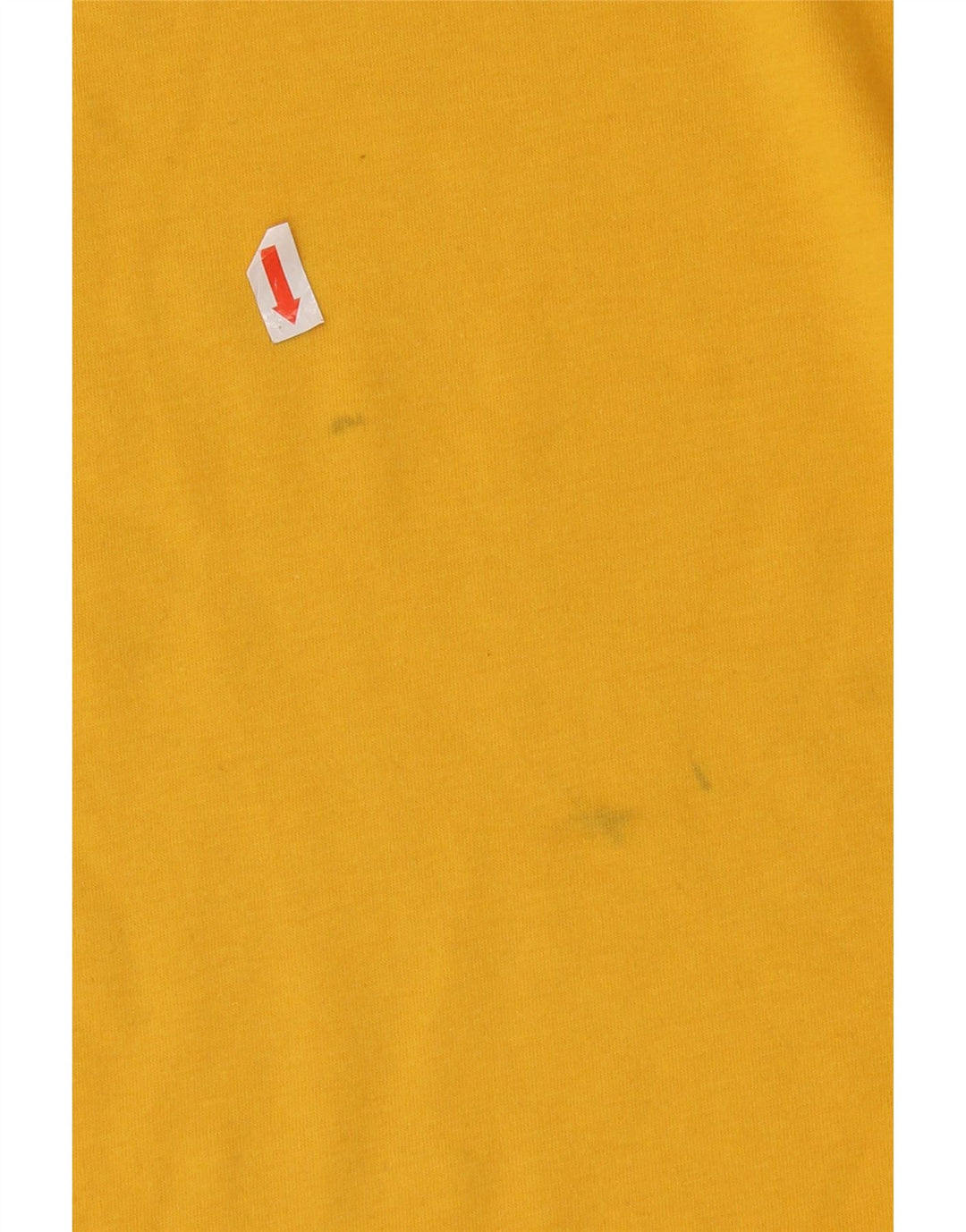 Champion Mens Graphic T-Shirt Top Large Yellow