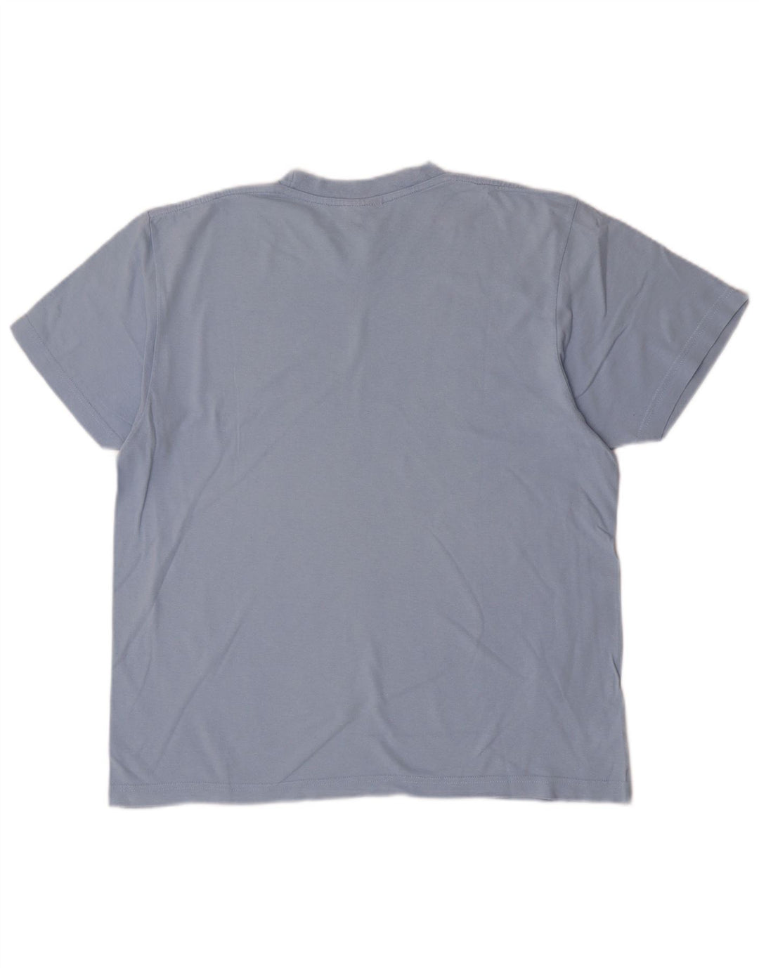 Champion Mens Graphic T-Shirt Top Large Blue Cotton