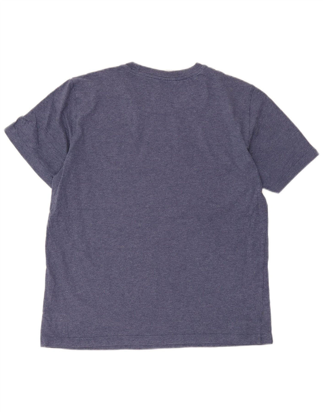 Champion Mens T-Shirt Top Large Blue