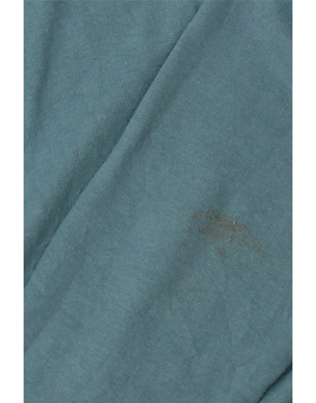 CHAMPION Womens Sweatshirt Jumper UK 16 Large Blue Rayon Vintage Champion and Second-Hand Champion from Messina Hembry 