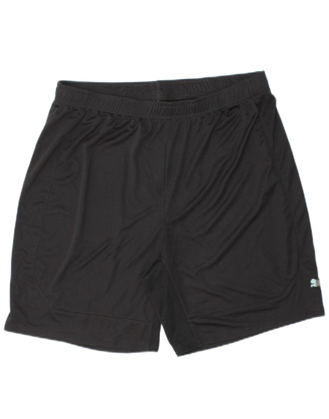 Mens Sport Shorts Large