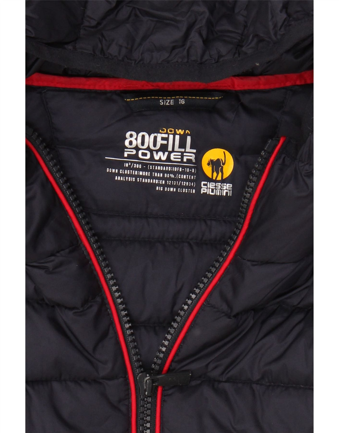 CIESSE PIUMINI Boys Padded Jacket 15-16 Years Multicoloured Colourblock