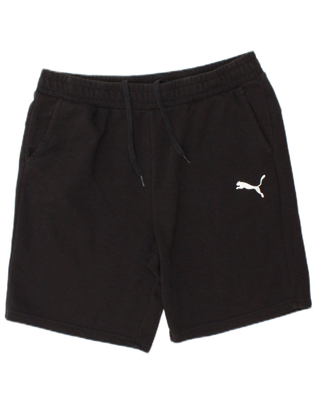 PUMA Mens Sport Shorts Large  Black