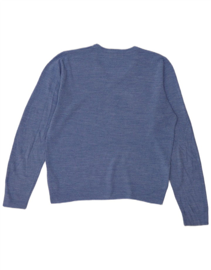 Marks & Spencer Mens Regular Fit V-Neck Jumper Sweater Medium Blue Acrylic
