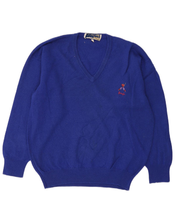 Pringle Mens Relaxed Fit V-Neck Jumper Sweater Small Blue Sports
