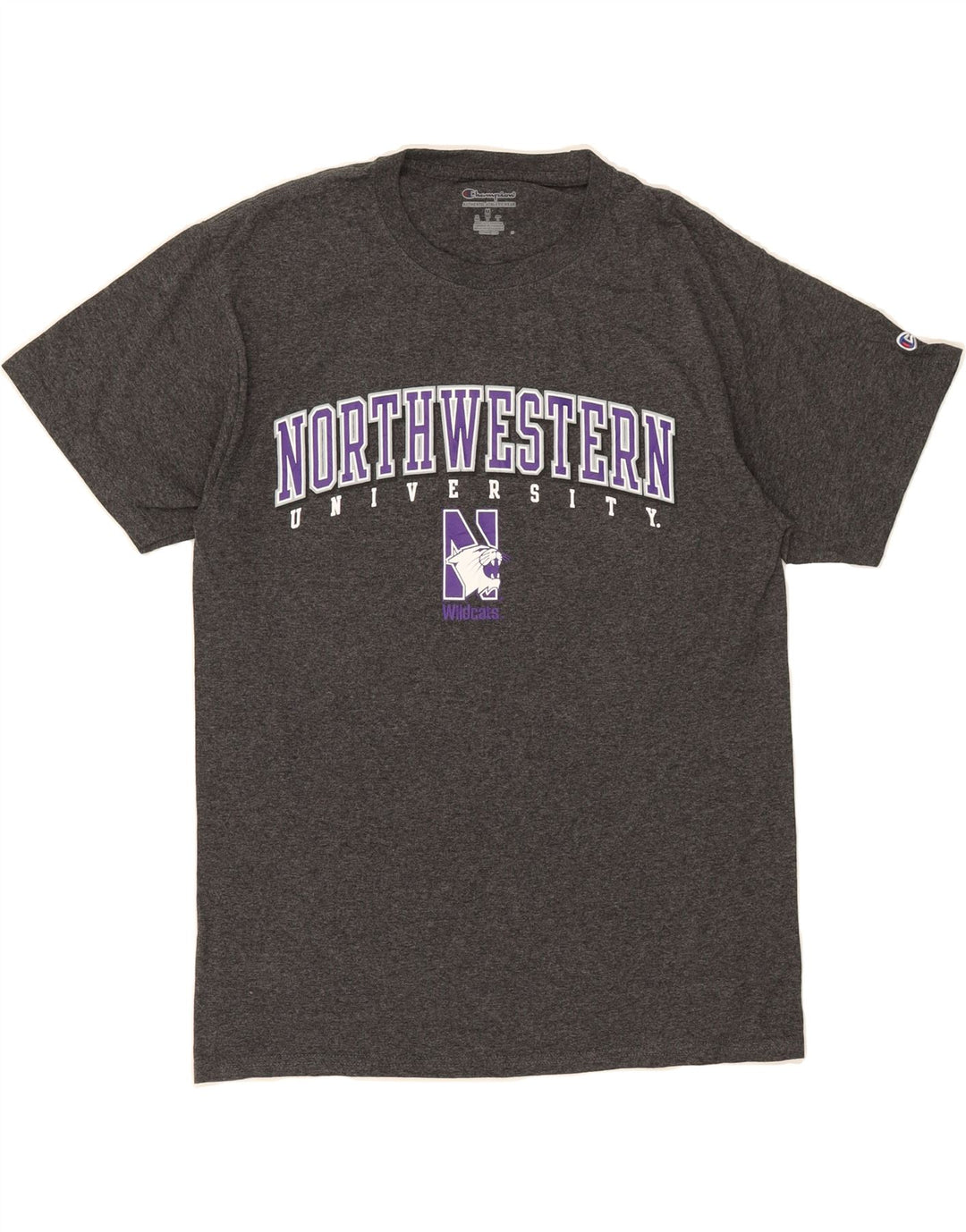 CHAMPION Mens Graphic T-Shirt Top Medium Grey Cotton Vintage Champion and Second-Hand Champion from Messina Hembry 