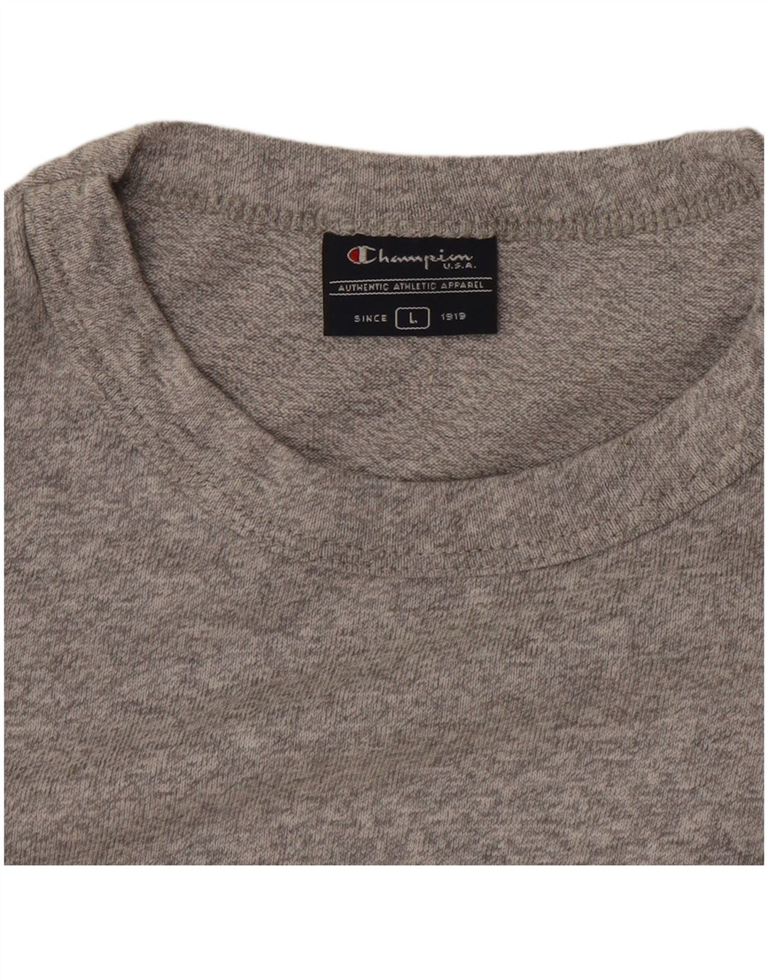 Champion Mens T-Shirt Top Large Grey