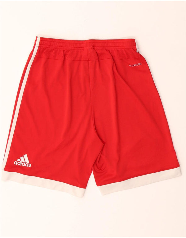 Adidas Boys FC Bayern Munchen Sport Shorts 13-14 Years Red Colourblock