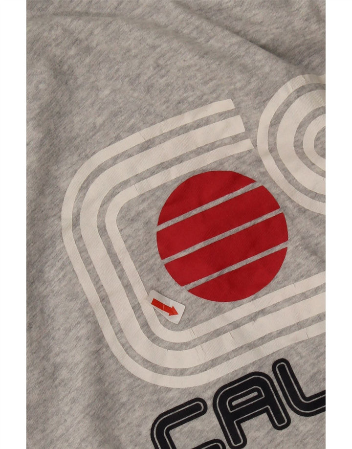 Superdry Mens Graphic T-Shirt Top Large Grey Cotton