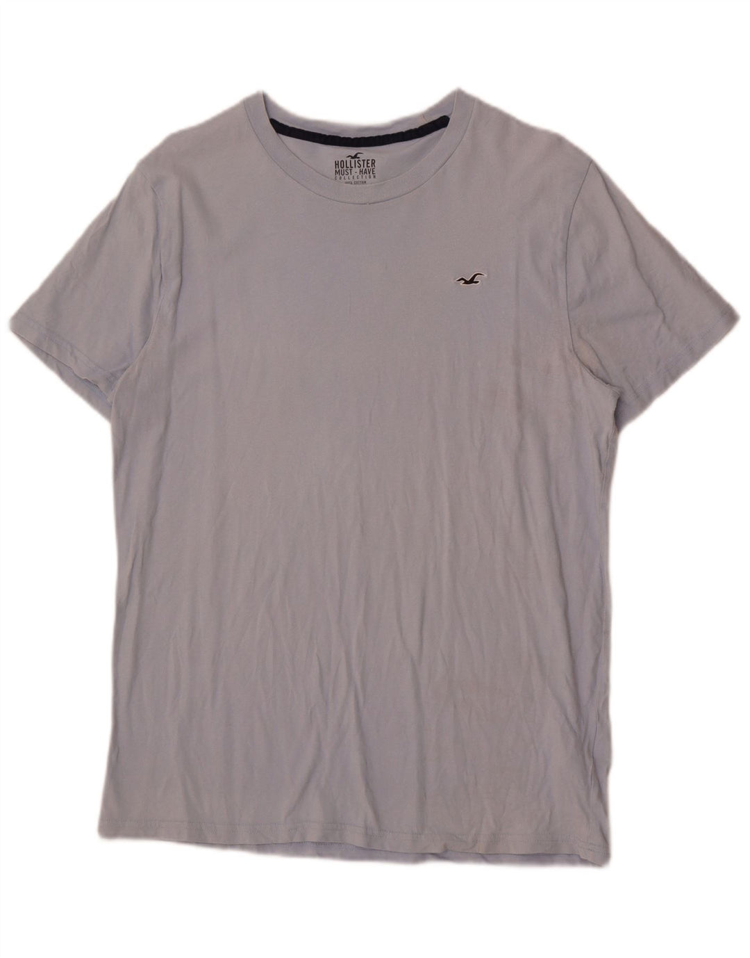 Hollister Mens T-Shirt Top Large Blue Cotton