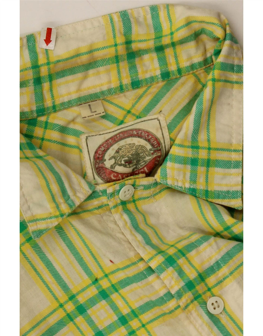 CASUCCI Mens Short Sleeve Shirt Large Green Check