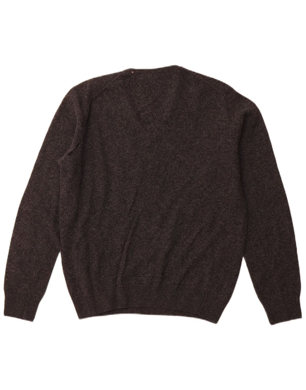 LACOSTE Mens V-Neck Jumper Sweater Size 4 Medium Grey New Wool