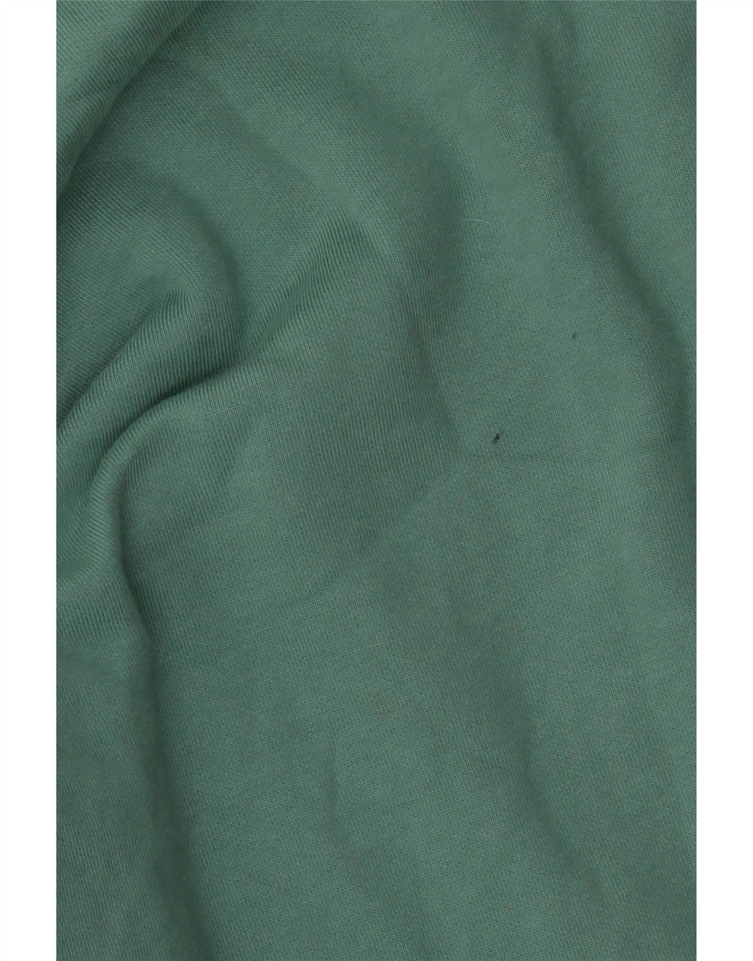 Champion Mens Sweatshirt Jumper Small Green Cotton