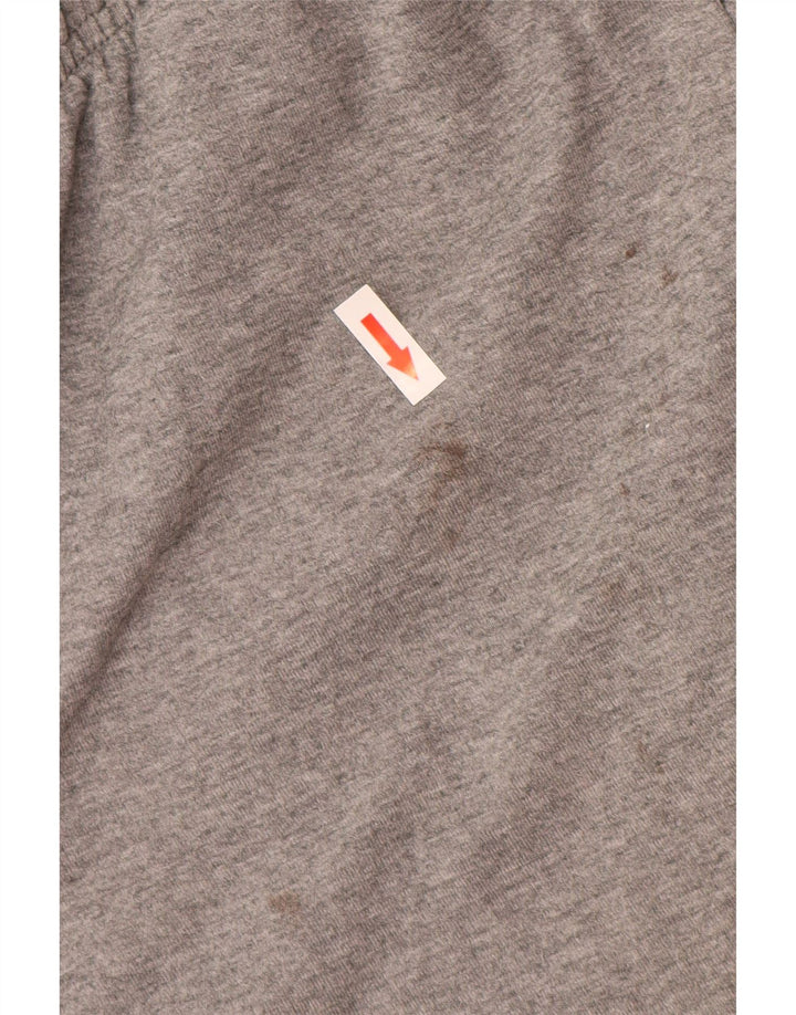 Puma Mens Graphic Sport Shorts Medium Grey