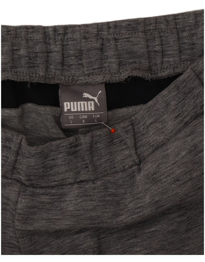 PUMA Mens Tracksuit Trousers Large  Grey Colourblock