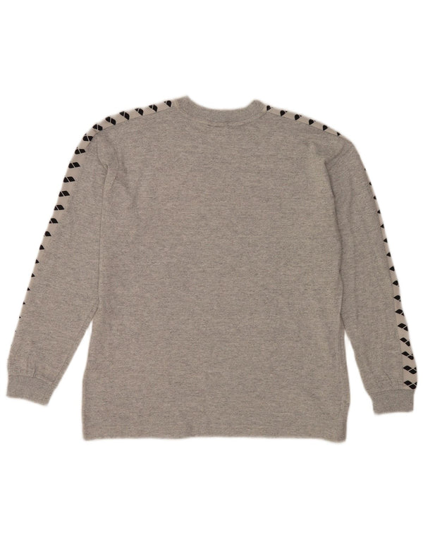 Arena Mens Graphic Top Long Sleeve Small Grey Flecked