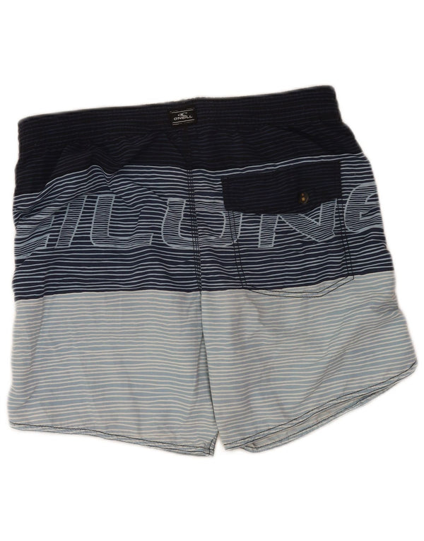 O'Neal Mens Graphic Swimming Shorts Medium Blue Striped
