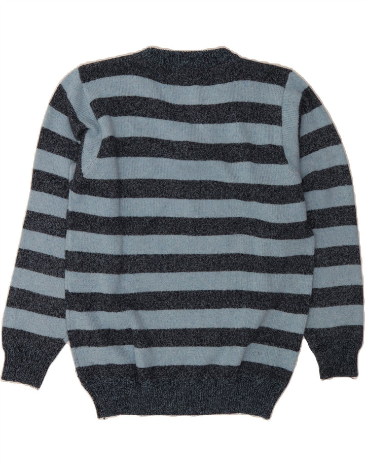 VINTAGE Mens V-Neck Jumper Sweater Large Blue Striped Vintage Vintage and Second-Hand Vintage from Messina Hembry 