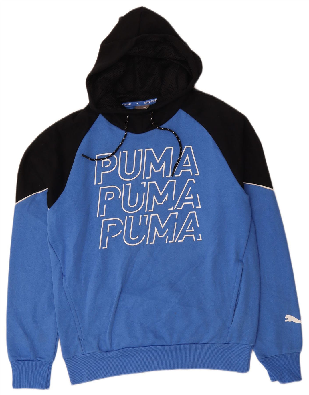 PUMA Mens Graphic Hoodie Jumper Small Blue Colourblock