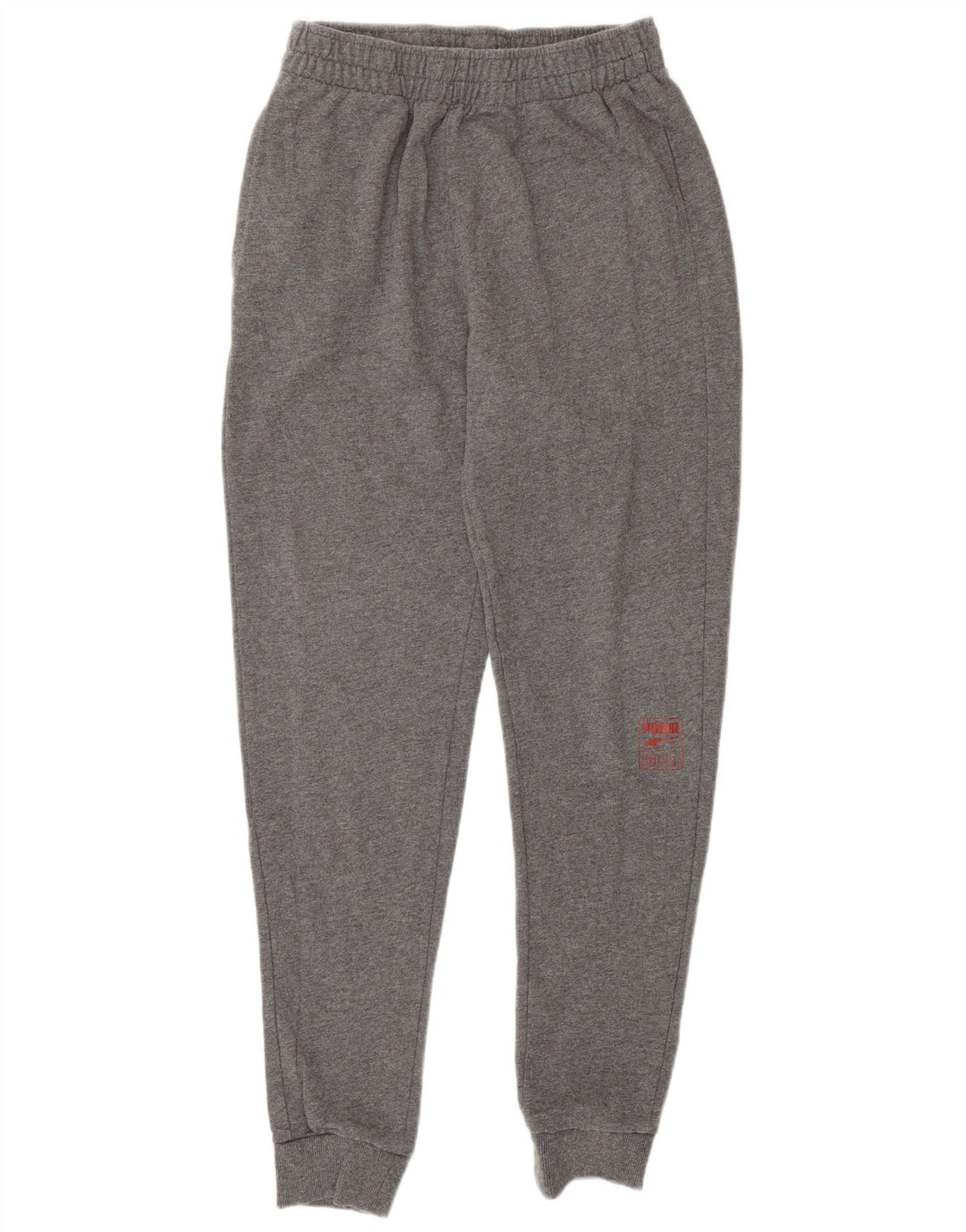 PUMA Boys Tracksuit Trousers Joggers 15-16 Years XL  Grey