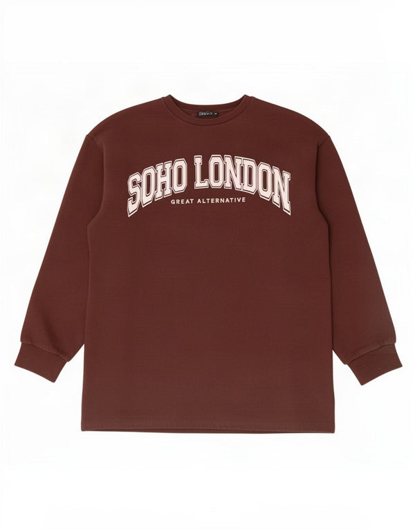Zara Womens Graphic Sweatshirt Jumper UK 16 Large Brown Cotton