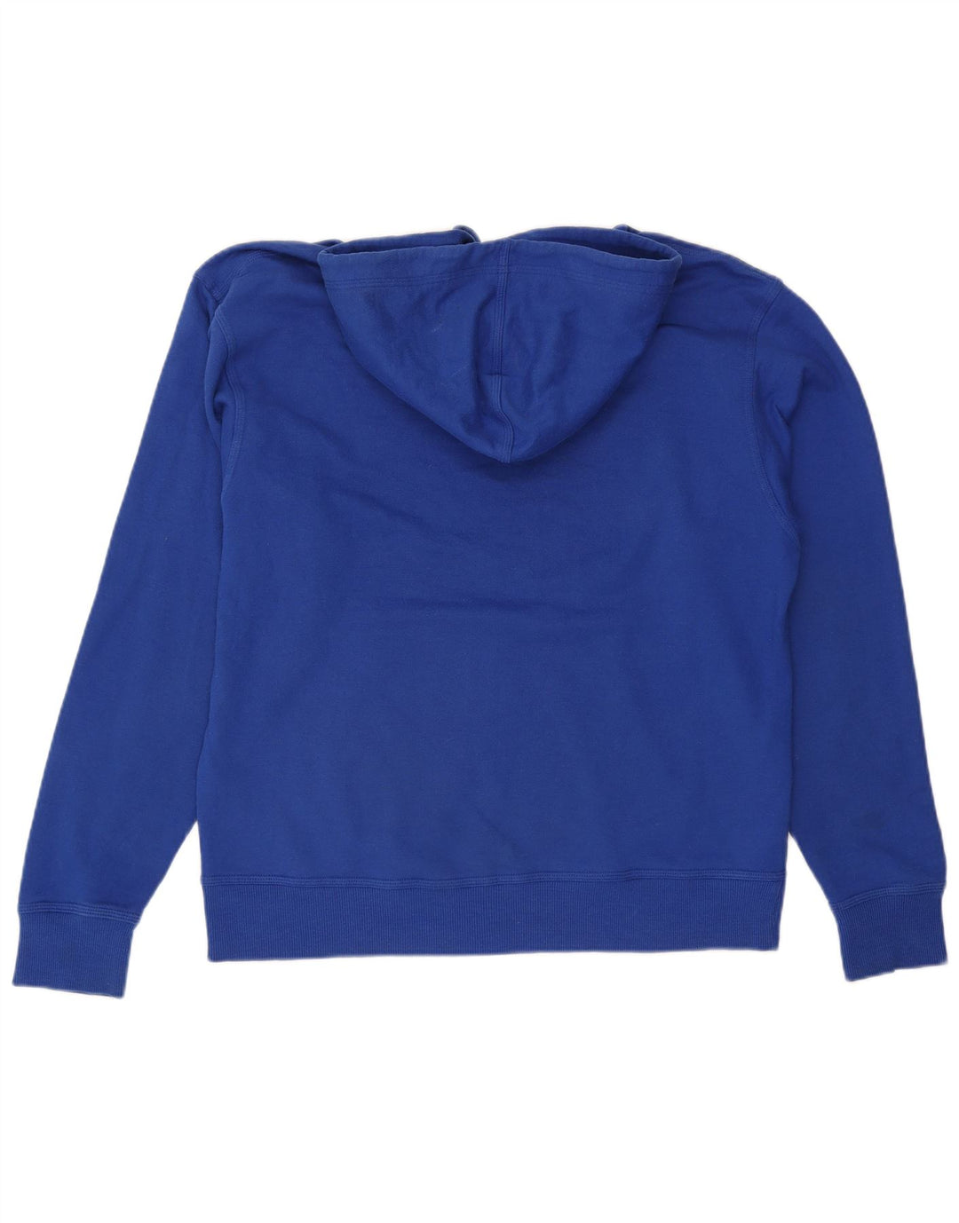 CHAMPION Mens Hoodie Jumper Large Blue Polyester