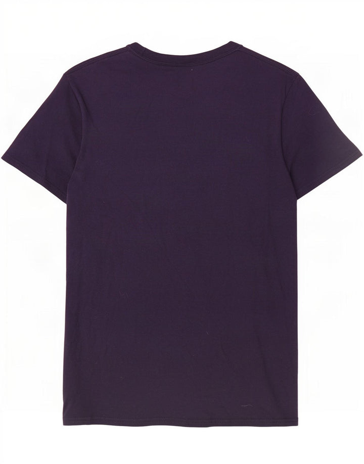 Champion Mens Graphic T-Shirt Top Small Navy Blue