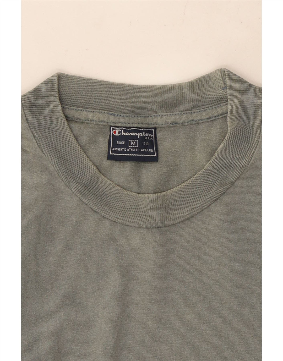 CHAMPION Mens T-Shirt Top Medium Blue Cotton