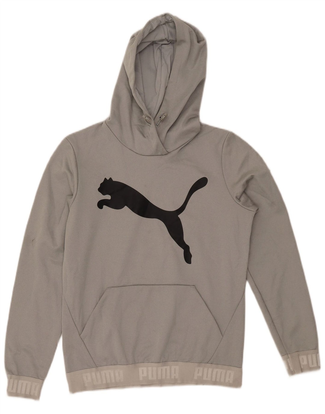 PUMA Womens Graphic Hoodie Jumper UK 12 Medium Grey Polyester
