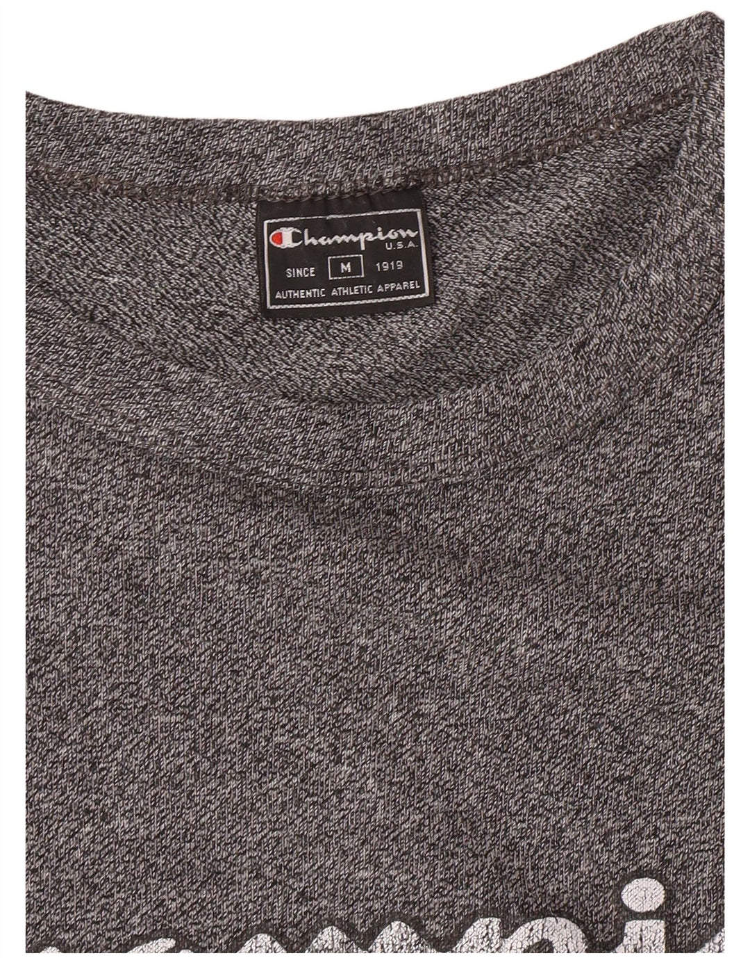 Champion Mens Graphic T-Shirt Top Medium Grey Flecked