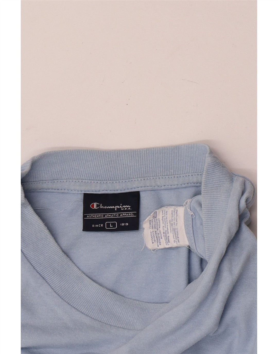 Champion Mens Graphic T-Shirt Top Large Blue Cotton