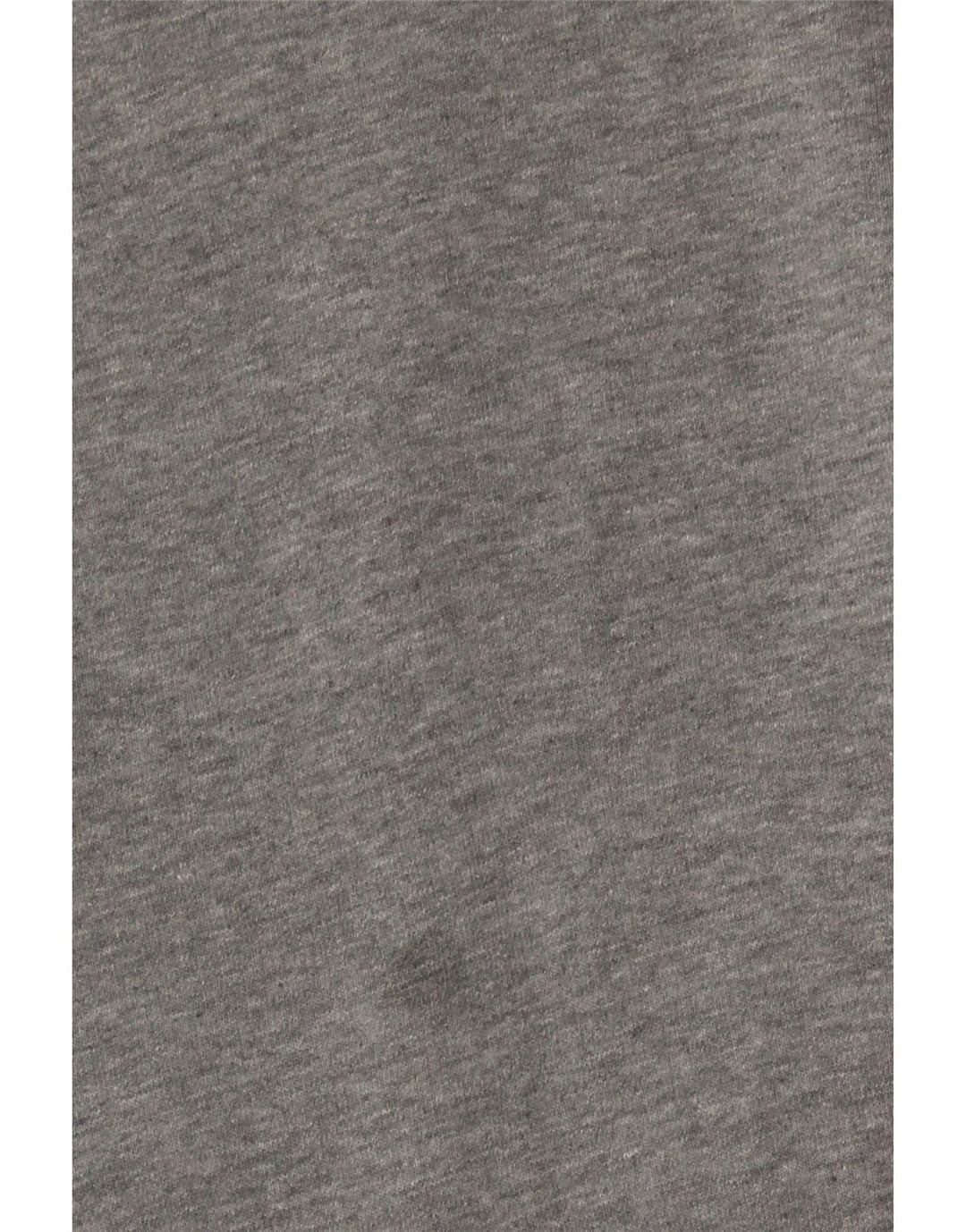 PUMA Mens Hoodie Jumper Small Grey Cotton Vintage Puma and Second-Hand Puma from Messina Hembry 