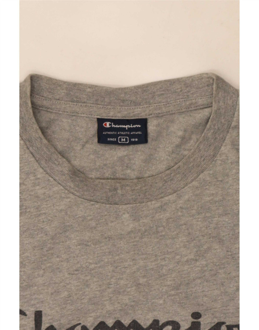 Champion Mens Graphic T-Shirt Top Medium Grey