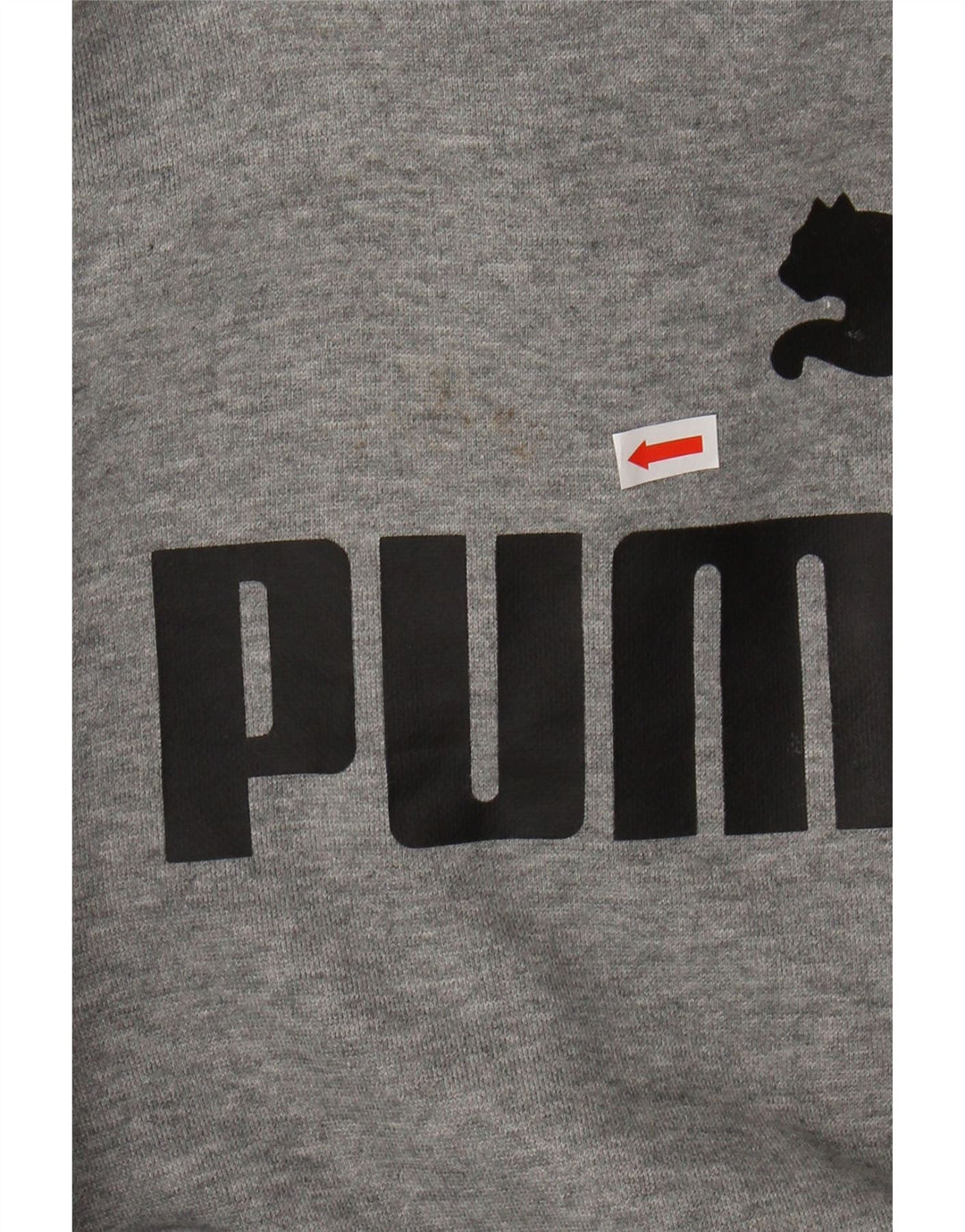 PUMA Boys Graphic Hoodie Jumper 9-10 Years Grey