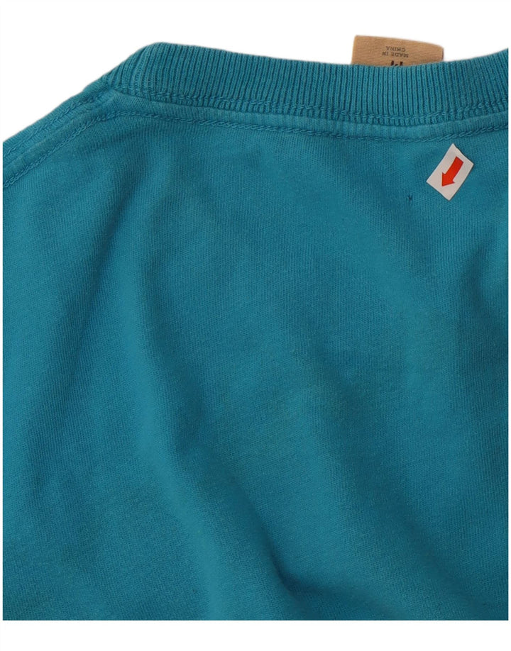 Hollister Mens Graphic T-Shirt Top Medium Blue Cotton