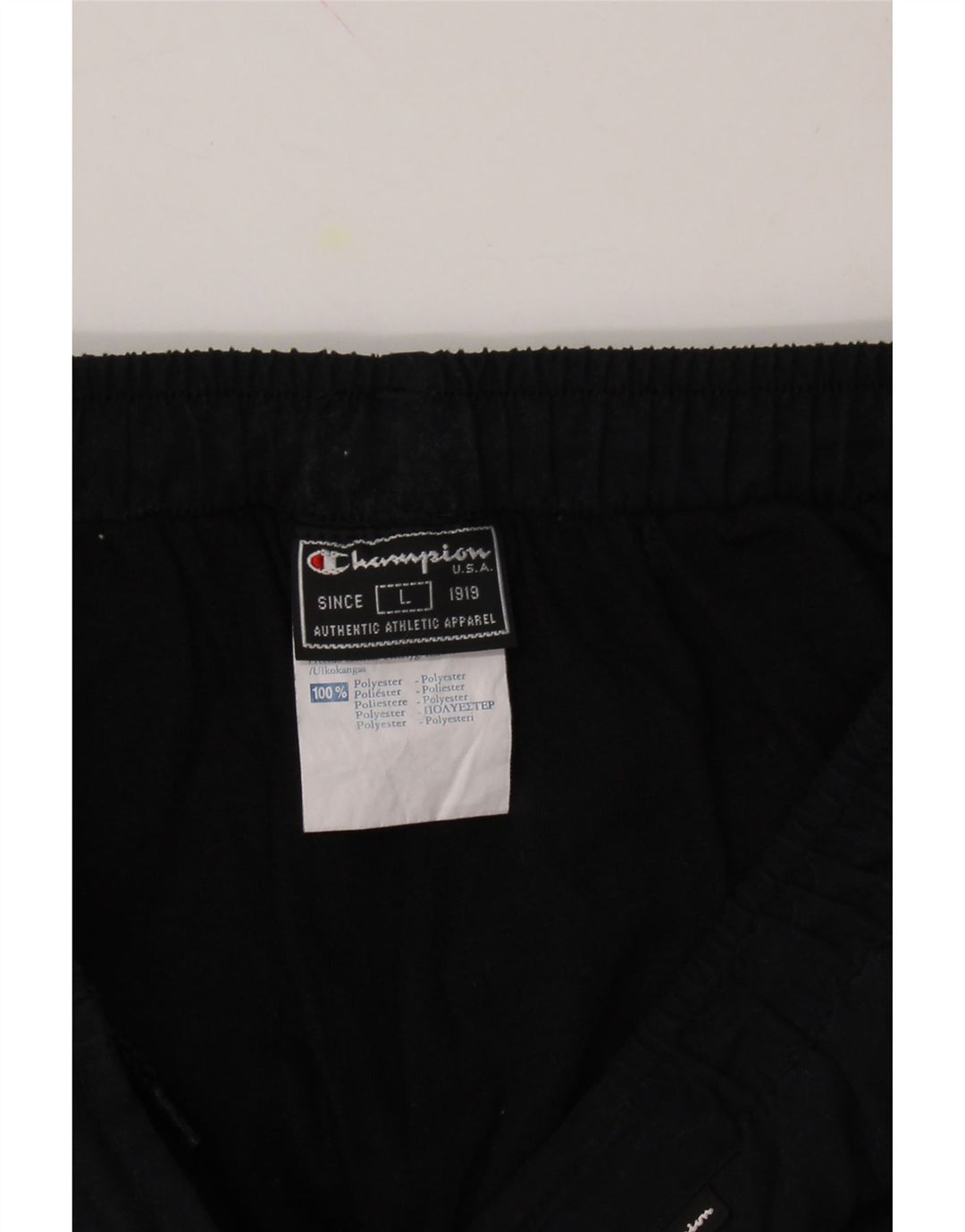 CHAMPION Mens Tracksuit Trousers Large  Navy Blue Polyester Vintage Champion and Second-Hand Champion from Messina Hembry 