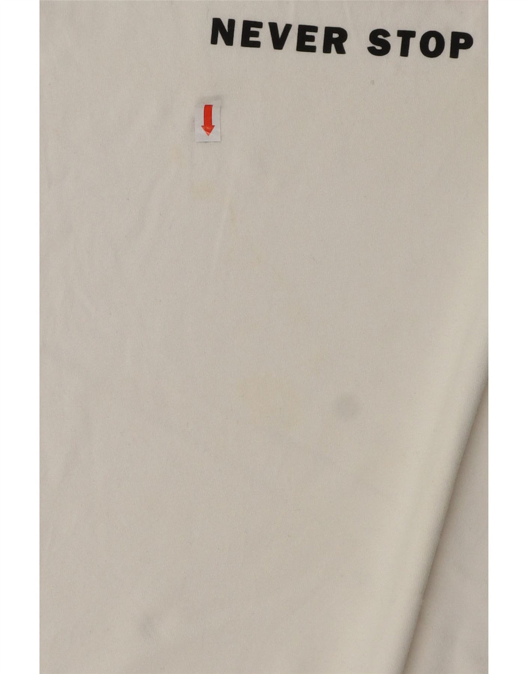 THE NORTH FACE Mens Graphic T-Shirt Top Large White Cotton