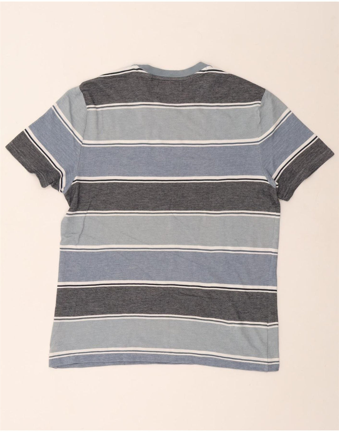 PENGUIN Mens T-Shirt Top Large Blue Striped Cotton
