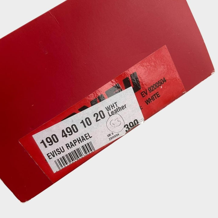 Y2K Evisu trainers - UK6