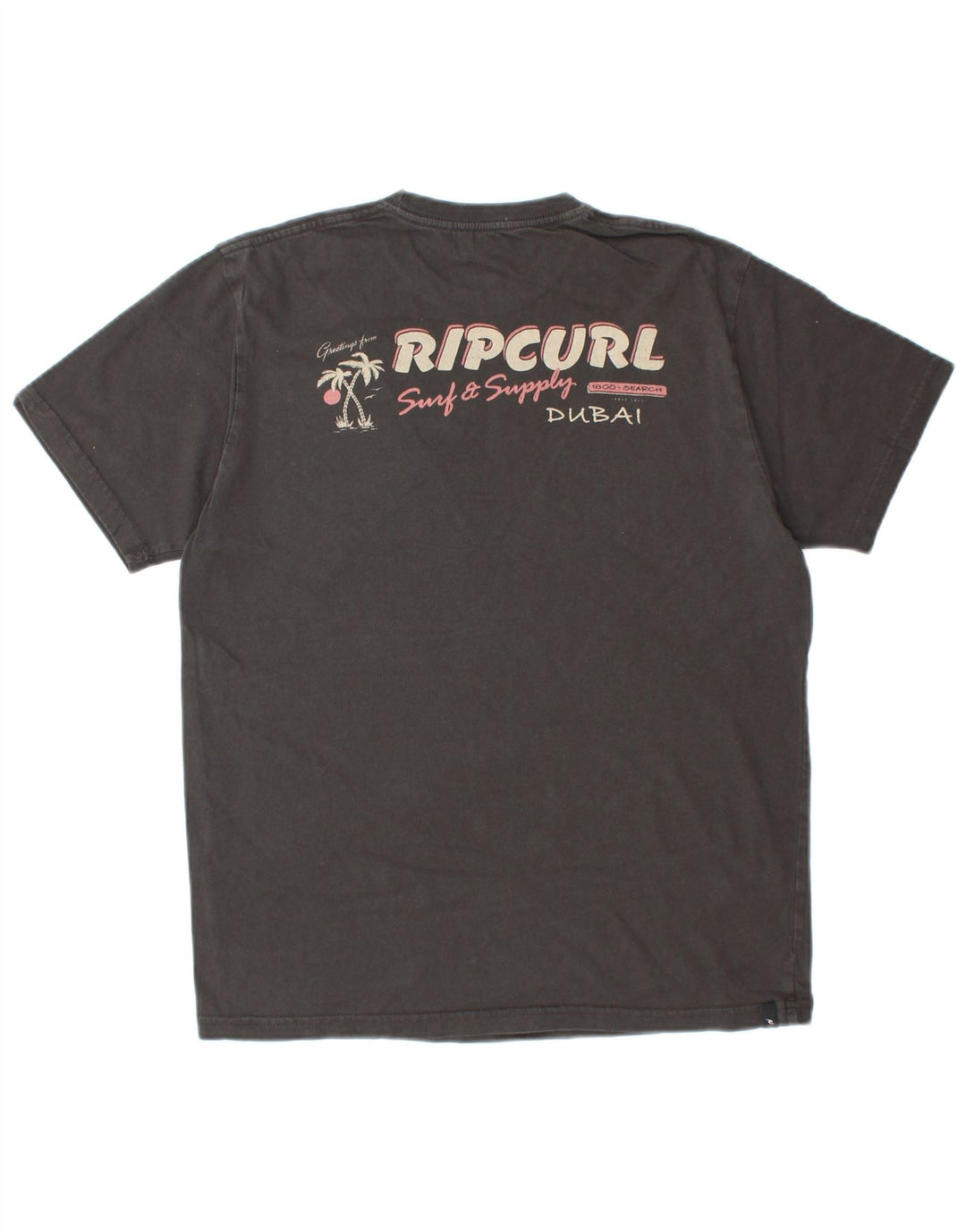 RIP CURL Mens Standard Fit Graphic T-Shirt Top Small Grey