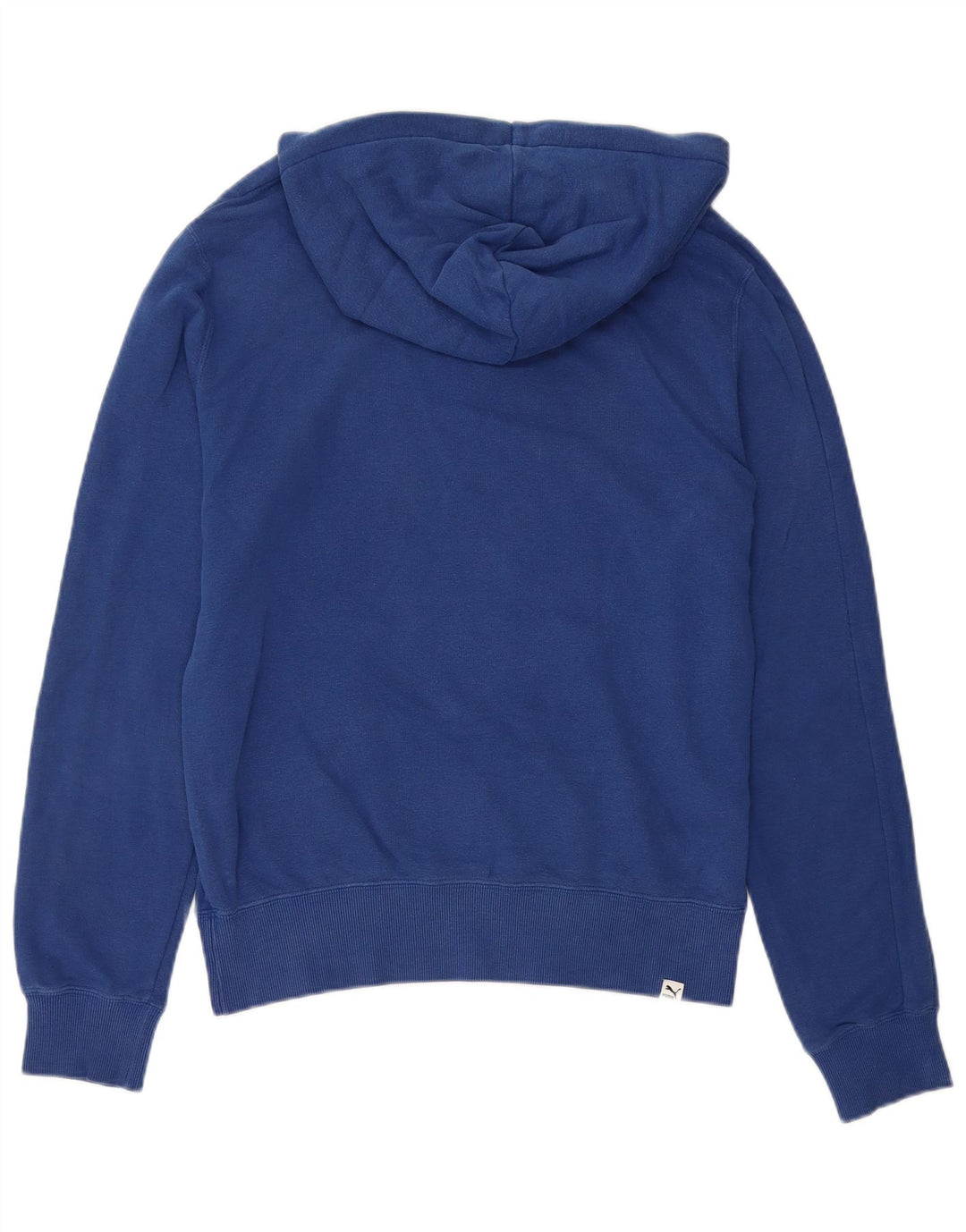 PUMA Mens Graphic Hoodie Jumper Small Blue