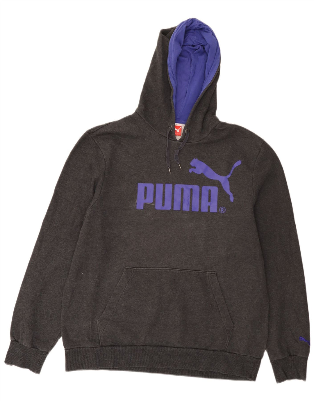 Puma Mens Graphic Hoodie Jumper Large Grey