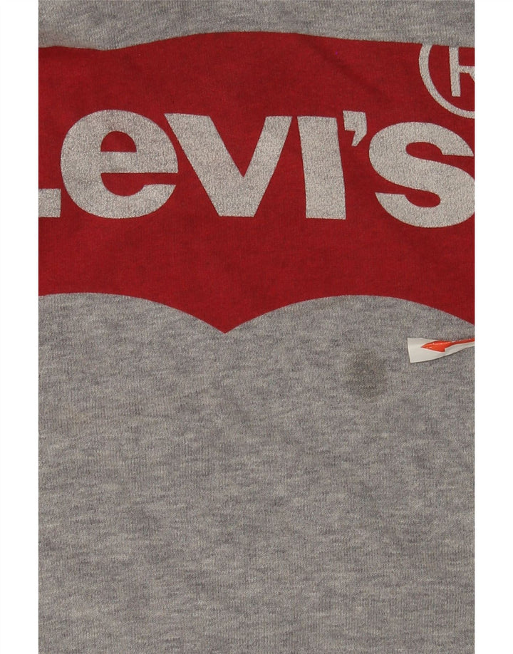 Levi's Mens Graphic Hoodie Jumper Medium Grey Flecked Cotton