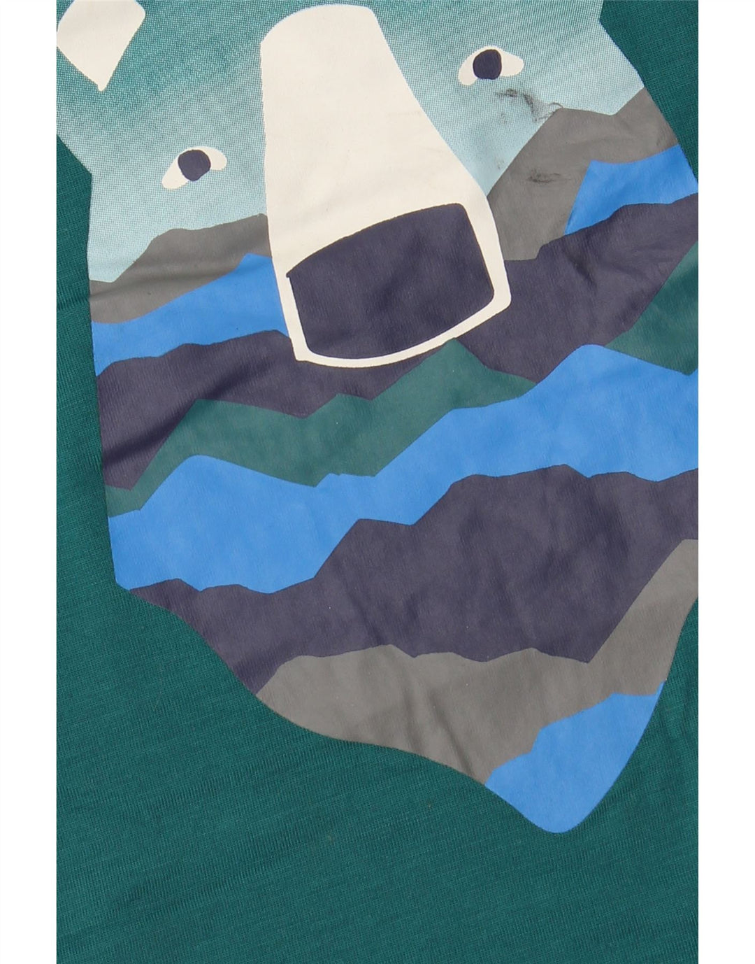 EDDIE BAUER Boys Graphic Top Long Sleeve 13-14 Years Large Green