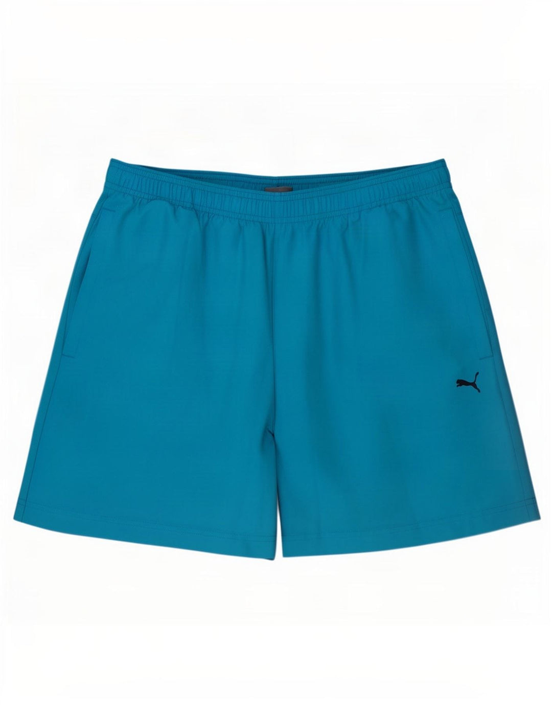 Puma Mens Graphic Sport Shorts Medium Blue