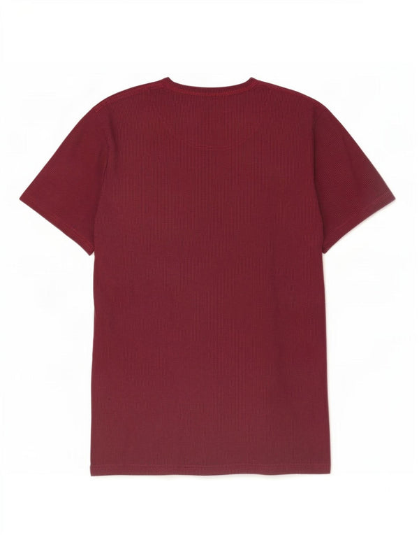Hollister Mens Graphic T-Shirt Top Large Burgundy Cotton